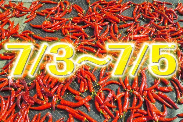 ソウル旅行発表1